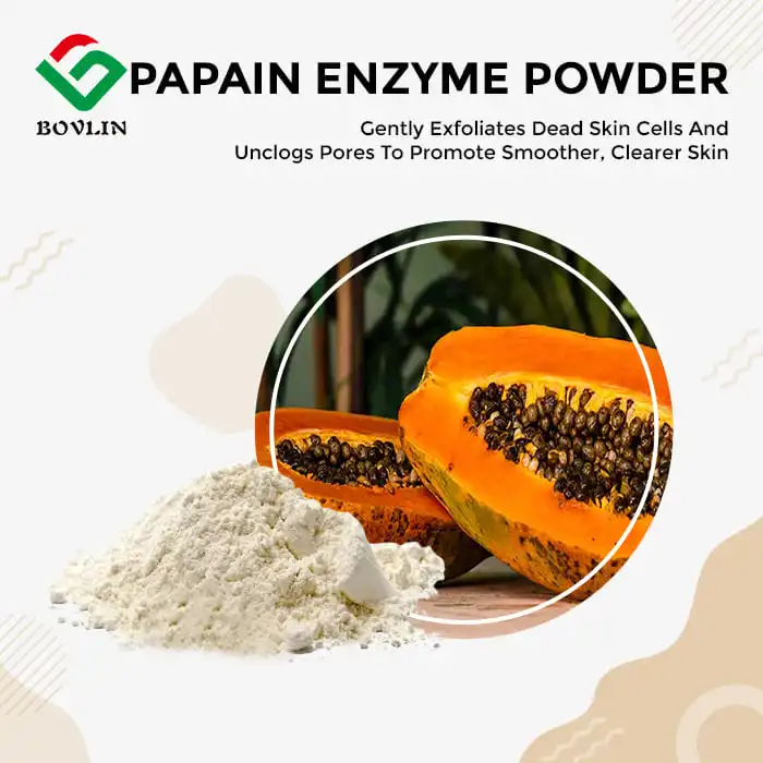 Papain Enzyme Powder